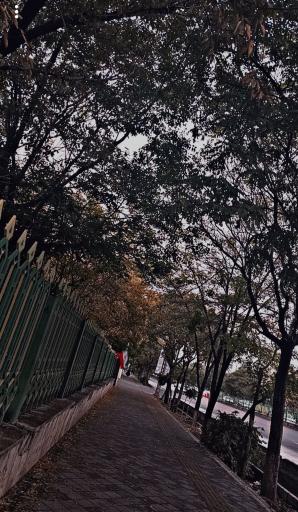 عکس هنرستان هنرهای زیبای میرک