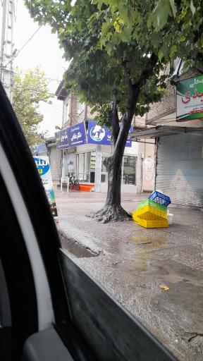 عکس داروخانه دامپزشکی دکتر غلامی