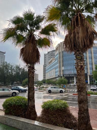 عکس رویا مال