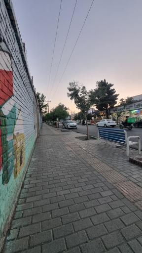 عکس انتهای امام هادی