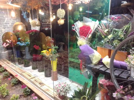 عکس گل و گیاه نجمه