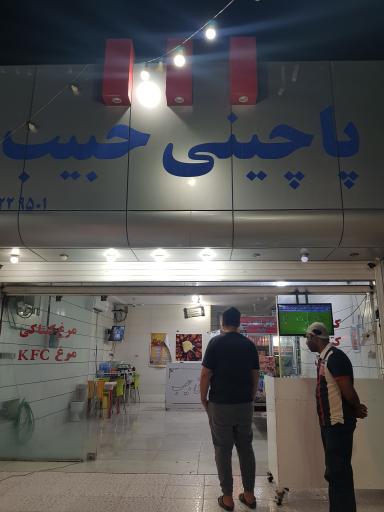 عکس باغ پاچینی حبیب