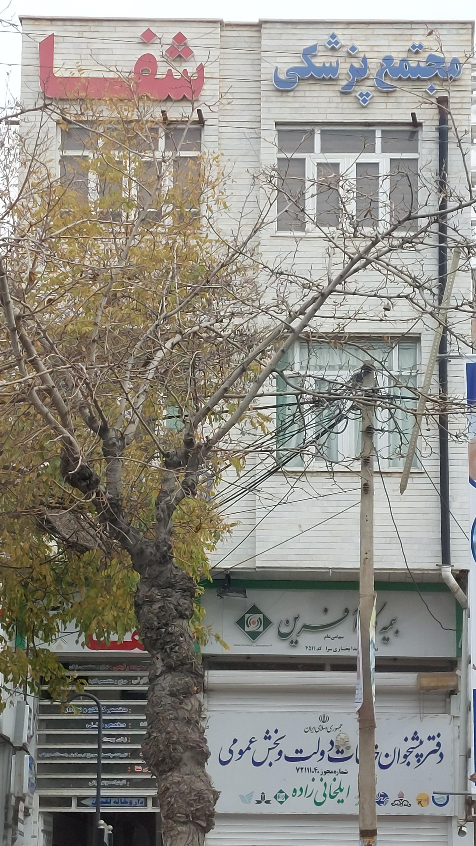 عکس مجتمع پزشکی شفا