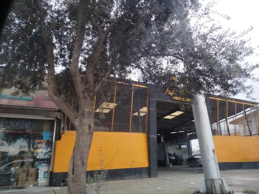 عکس صافکاری و نقاشی شاربیان