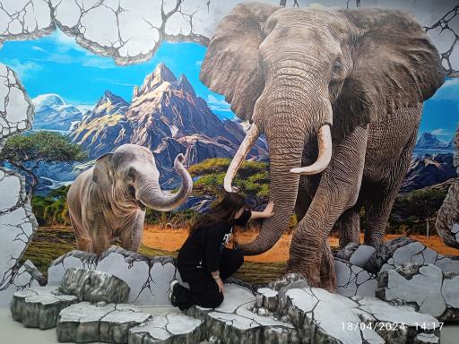 عکس رویا پارک