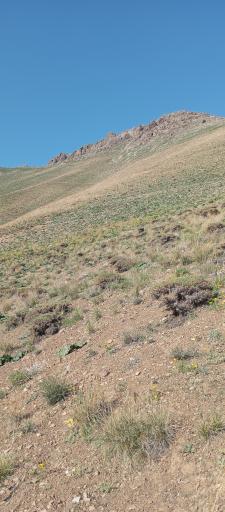 عکس روستای تالون