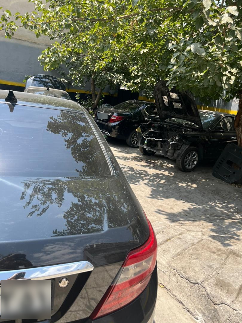 عکس دنا لند