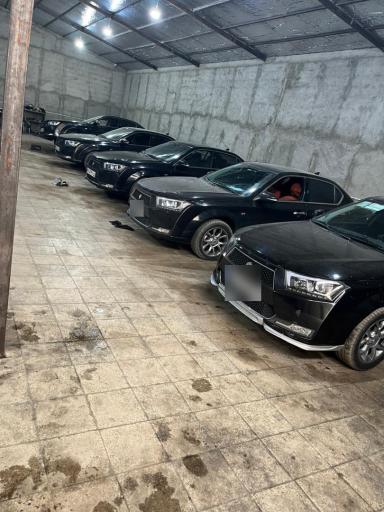 عکس دنا لند