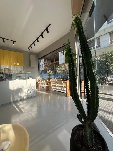 عکس قهوه فروشی هایک صادقیه