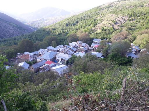 پخش موادغذایی دماوند