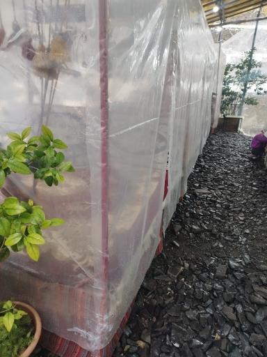 عکس کافه رستوران مهمان دوست