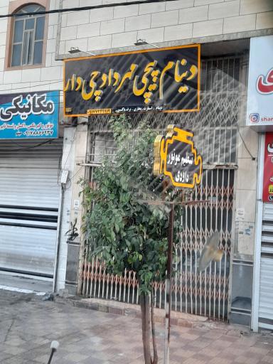 عکس دینام پیچی مهرداد چی دار