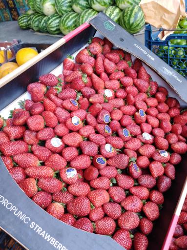 عکس میوه احمد