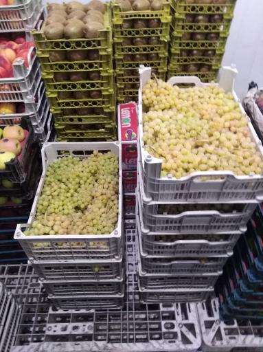 عکس میوه احمد