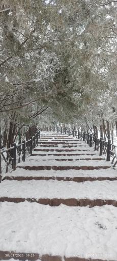 عکس کوه عینالی