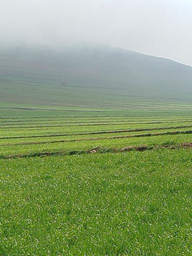 عکس گرمی