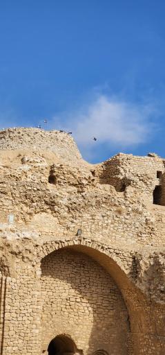 عکس کاخ اردشیر بابکان