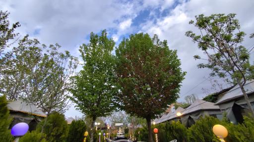 کافه هزار و یک شب