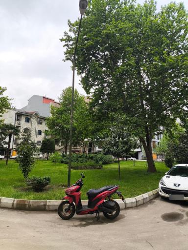 عکس ارکیده۱