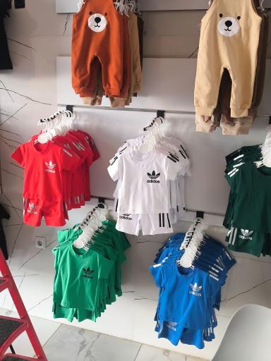 عکس سیسمونی تربچه