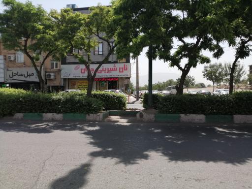 عکس نان شیرینی جوان