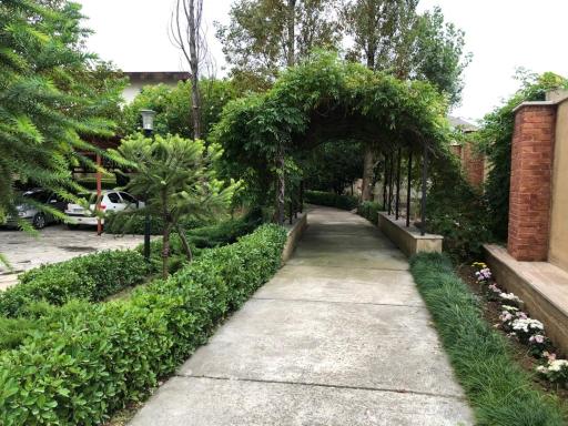 عکس باغ خورشید