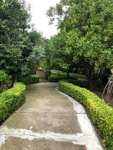 عکس باغ خورشید