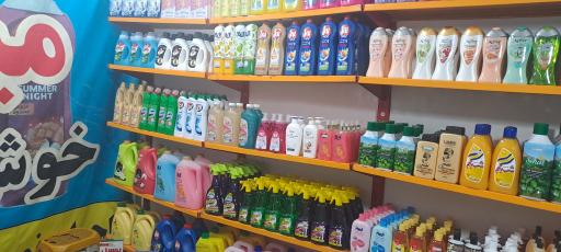 عکس شوینده بهداشتی میثم