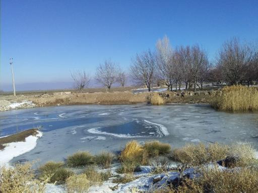 عکس برکه گلیجو