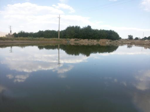 عکس برکه گلیجو