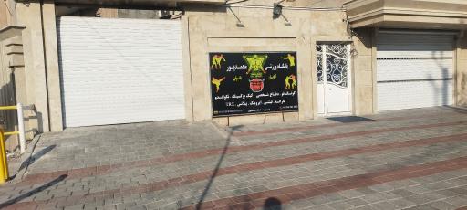 عکس باشگاه ورزشی محمدپور