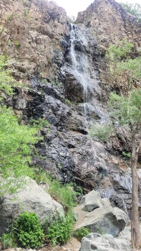 عکس کوه داراباد