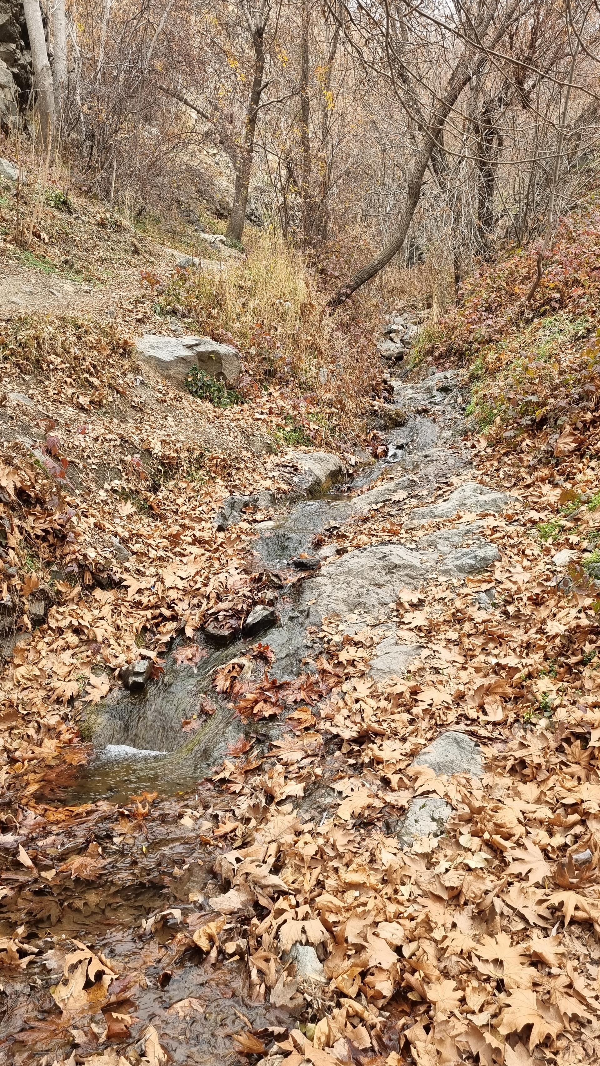 عکس کوه داراباد