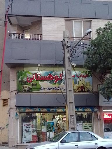 عکس لبنیات سنتی کوهستانی