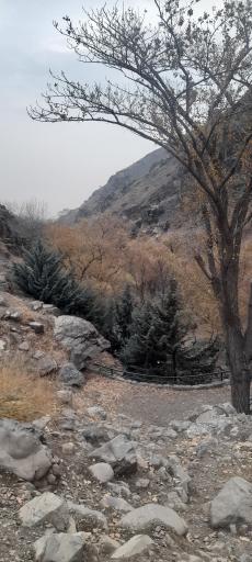 عکس کوه داراباد