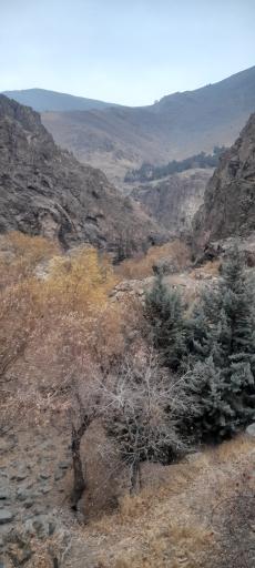 عکس کوه داراباد