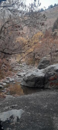 عکس کوه داراباد