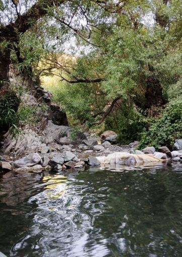 عکس کوه داراباد
