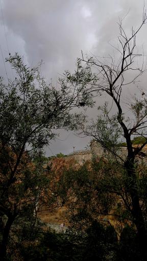 عکس کوه داراباد