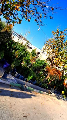 عکس نهالستان فتحی