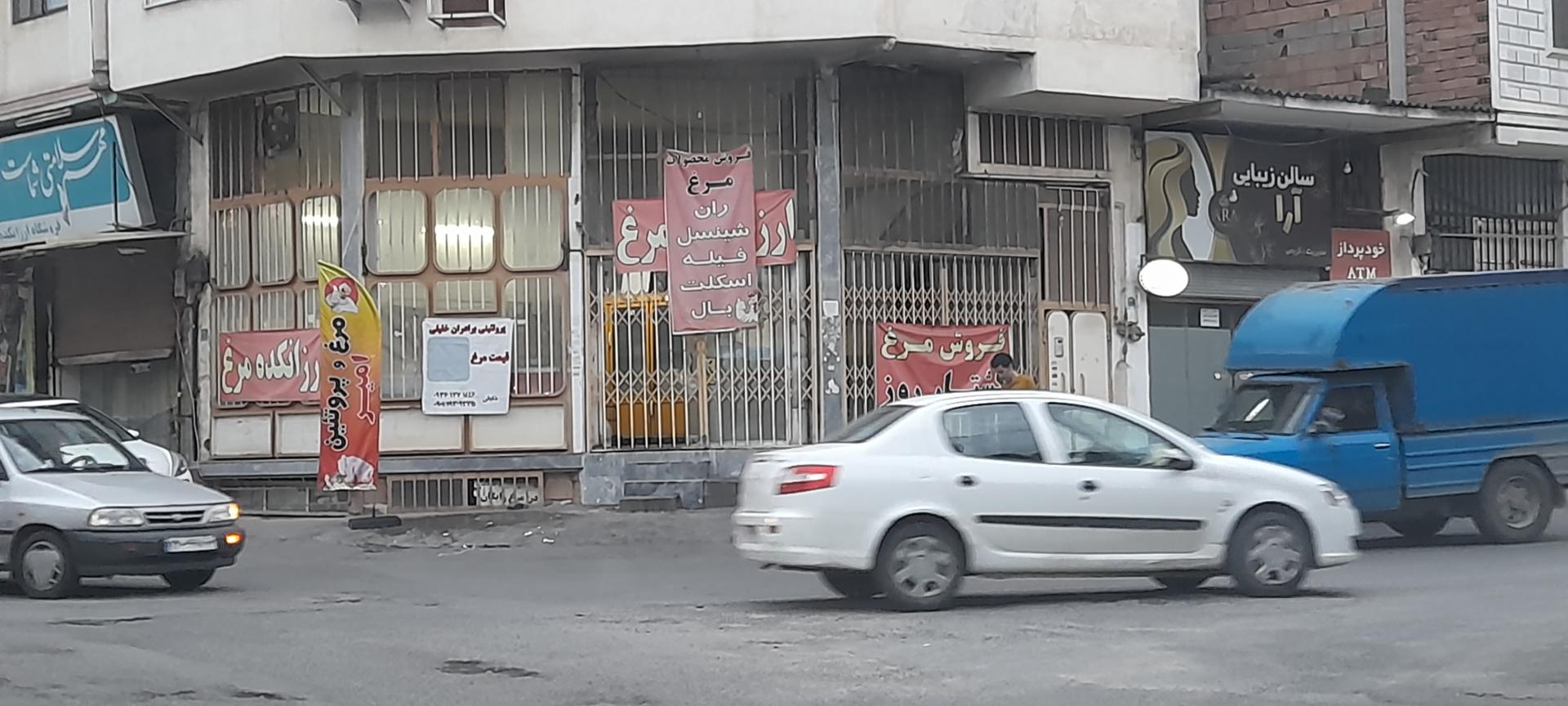 عکس مرغ و پروتئین علی