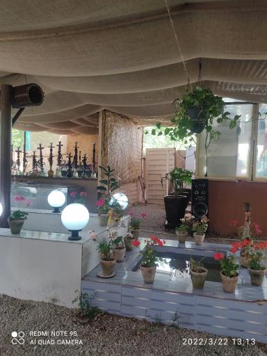 عکس سفره خانه داود