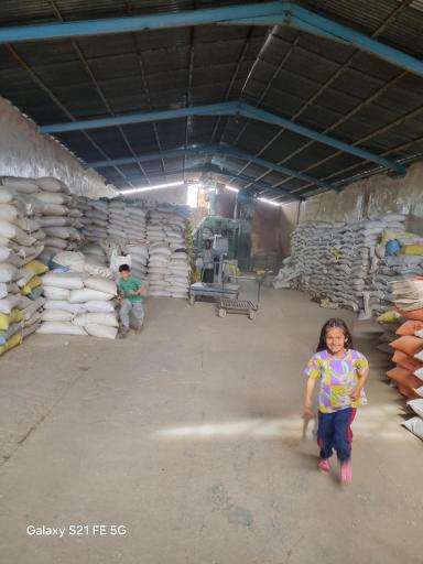 عکس بوجاری حبوبات خدادادی