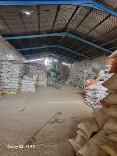 عکس بوجاری حبوبات خدادادی