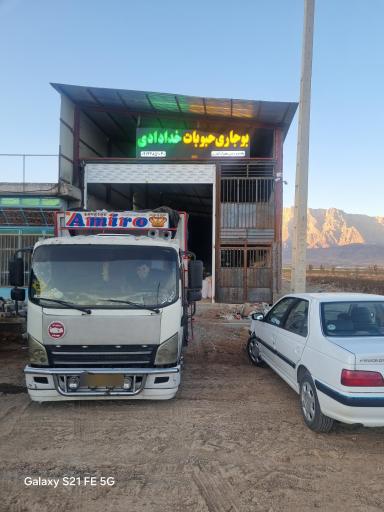 عکس بوجاری حبوبات خدادادی