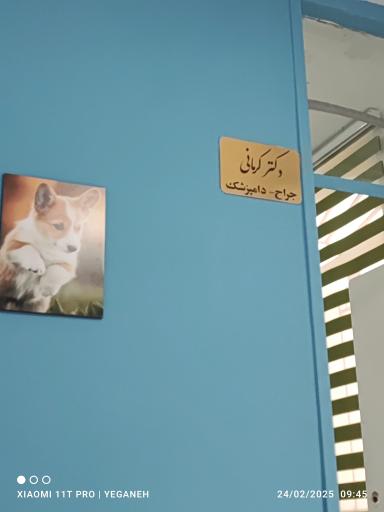 کلینیک دامپزشکی دکتر کرمانی