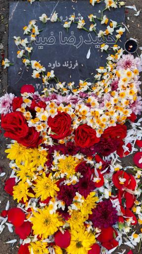 عکس مزار حمید رضا ضیائی