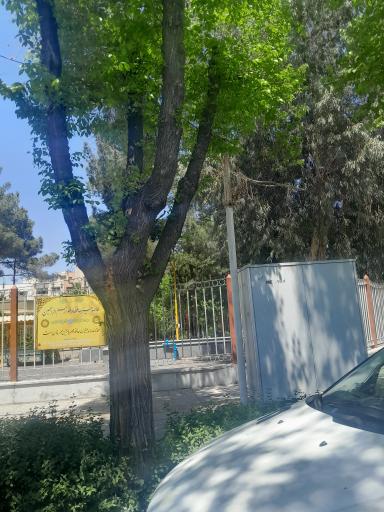 عکس پارک ملی 