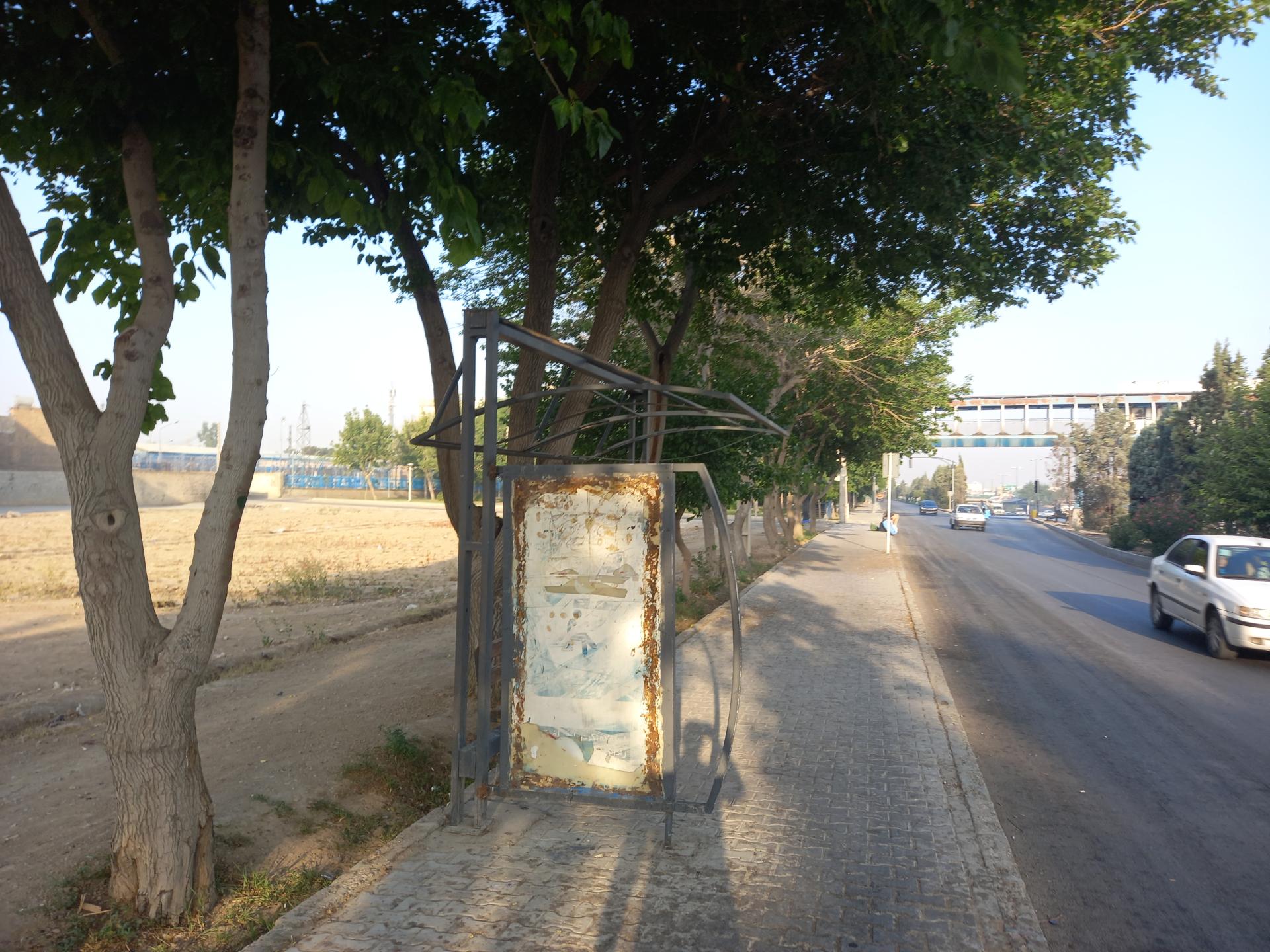 عکس بنفشه