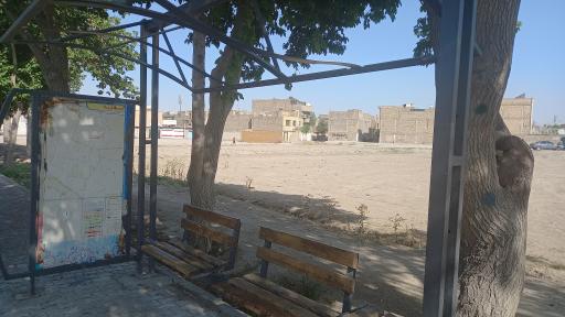 عکس بنفشه